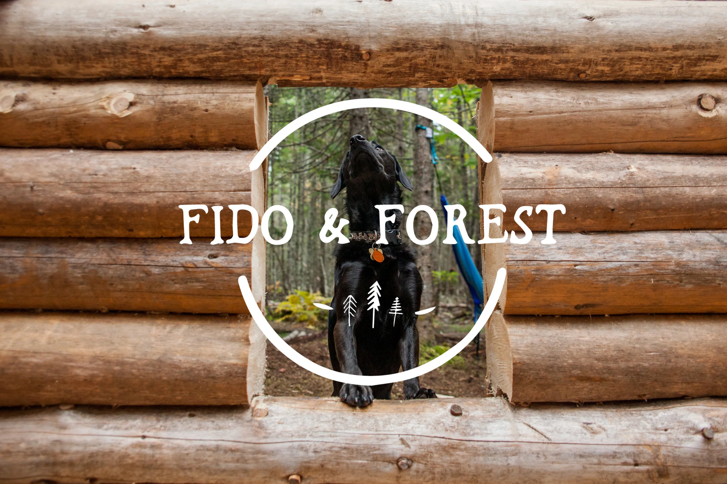 fidoandforest.jpg