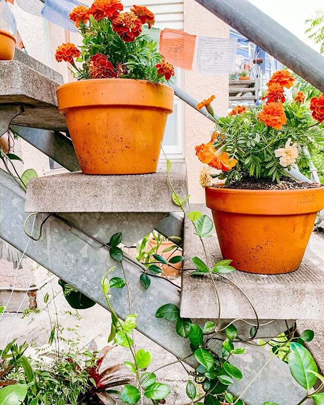 Taking the time to slow down and show some love this little concrete garden 🌱
How are you spending your weekend?