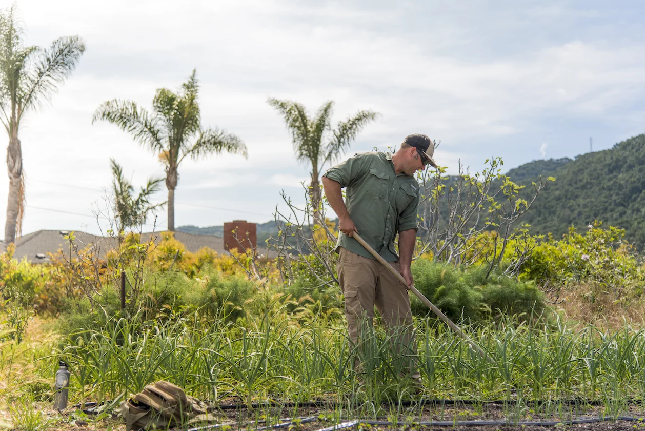 California Warrior - Morgan Boyd
