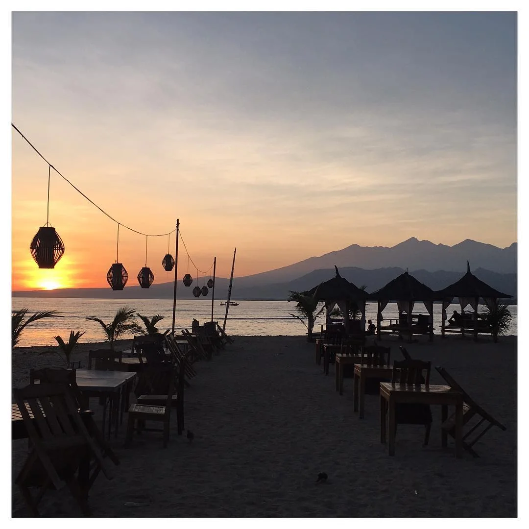 Cautiously Curious (BALI 5)