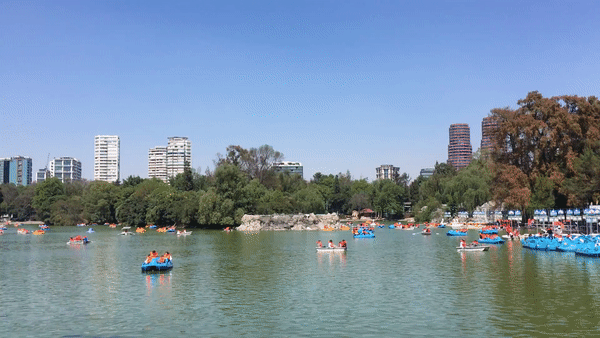Bosque de Chapultepec...P.S. I made all the GIFs in this post and am veeeery proud of myself tehe