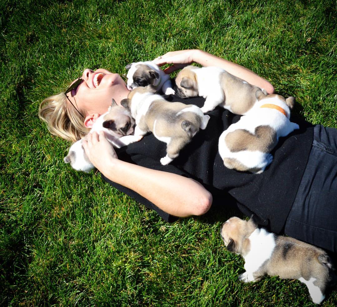 Jenny & Pups.jpg