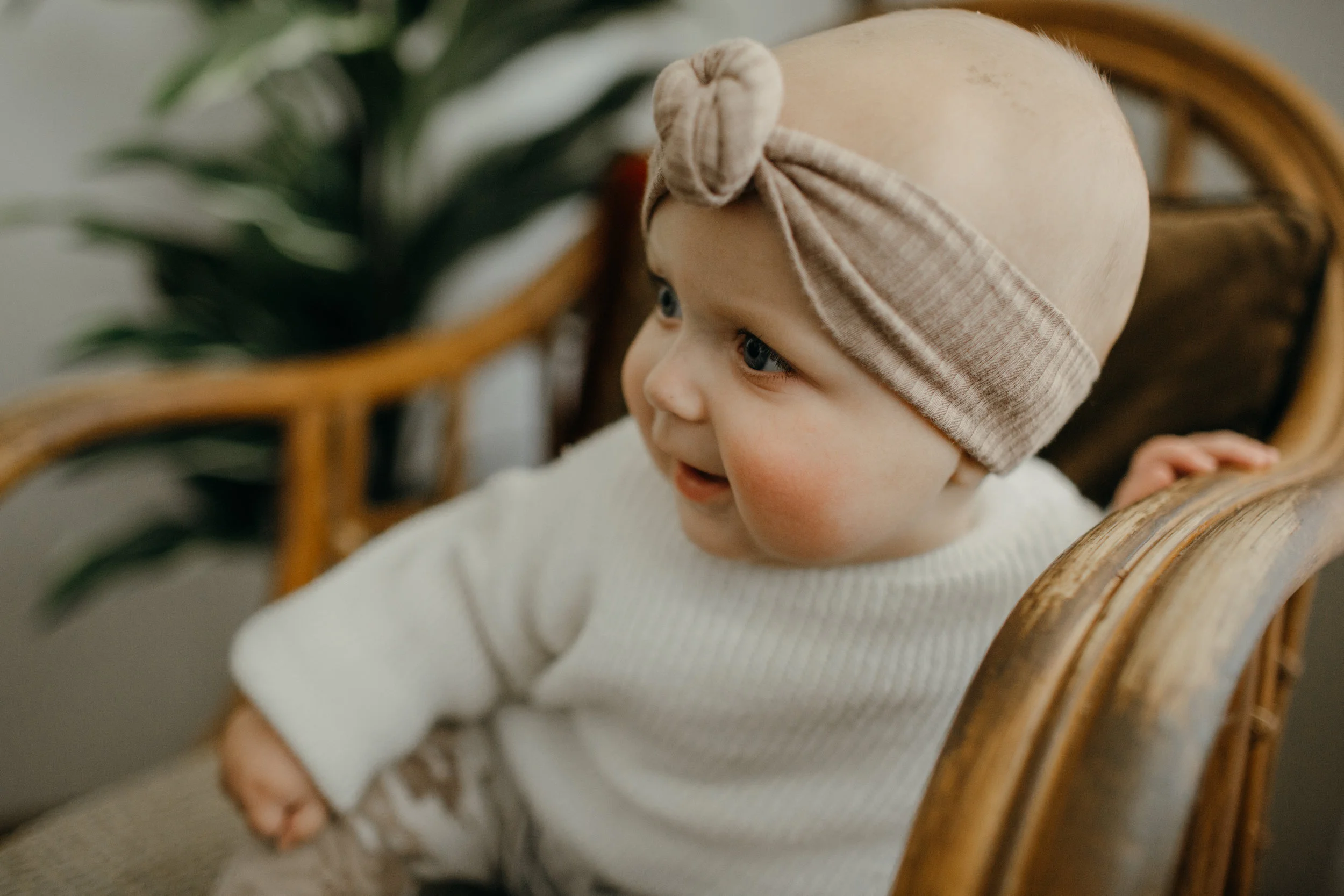 aj6mo-2.jpg
