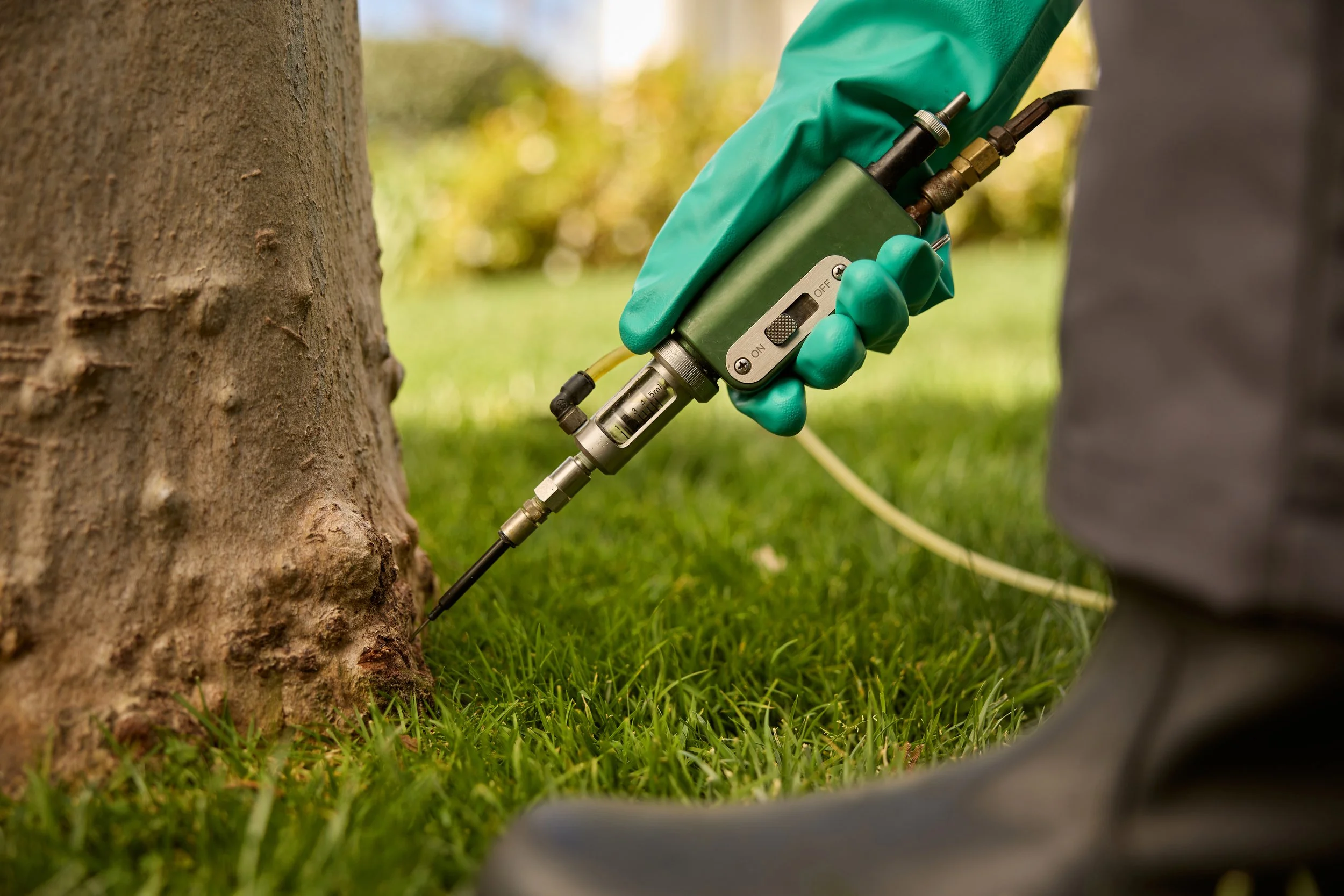 FY1_005_7442 2_v1_v1.jpeg