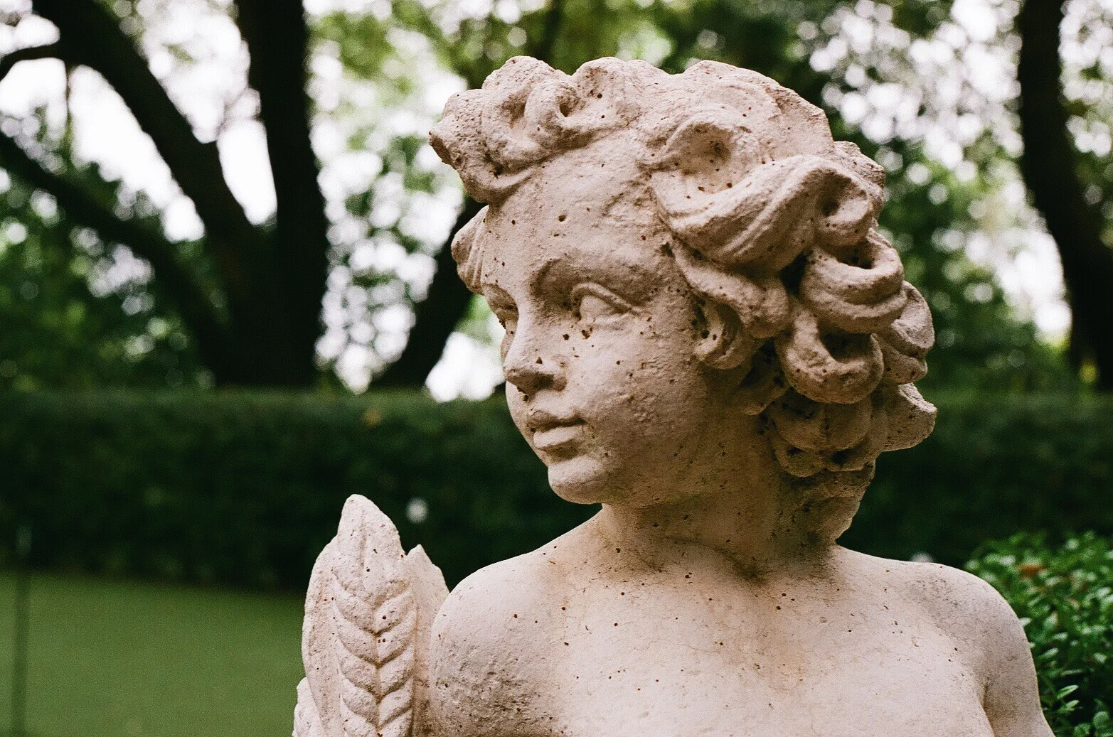 Dream-Like Simplicity 