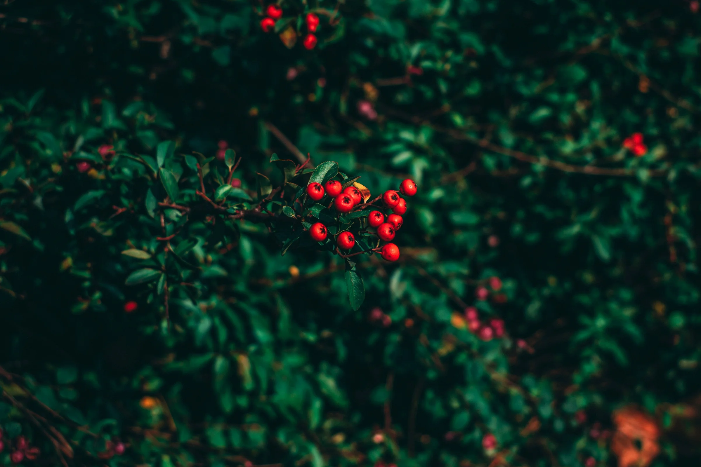 Photo: Pankaj Patel on Unsplash