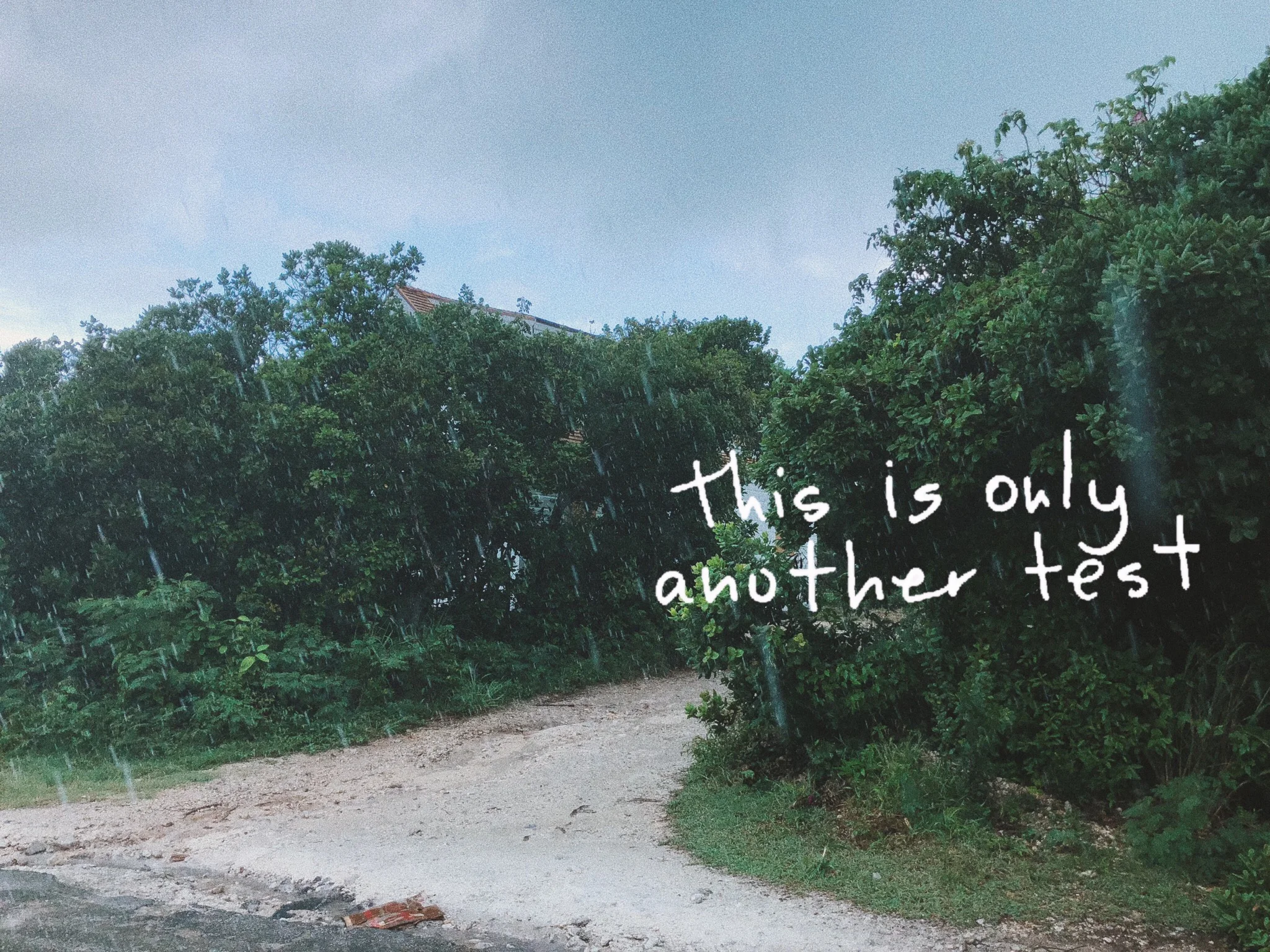 Storms--Finding Solace in Stevie Nicks&nbsp;