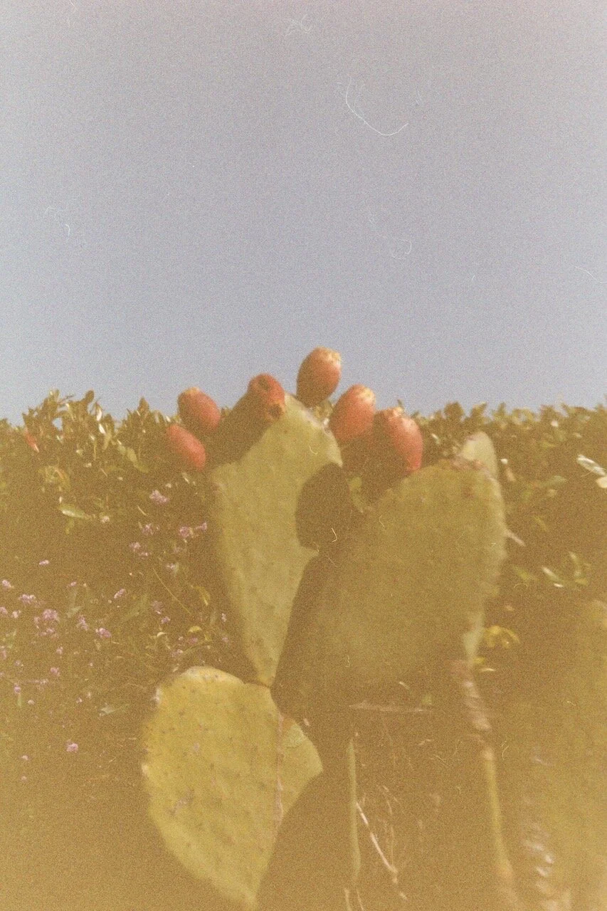 Expired Archives