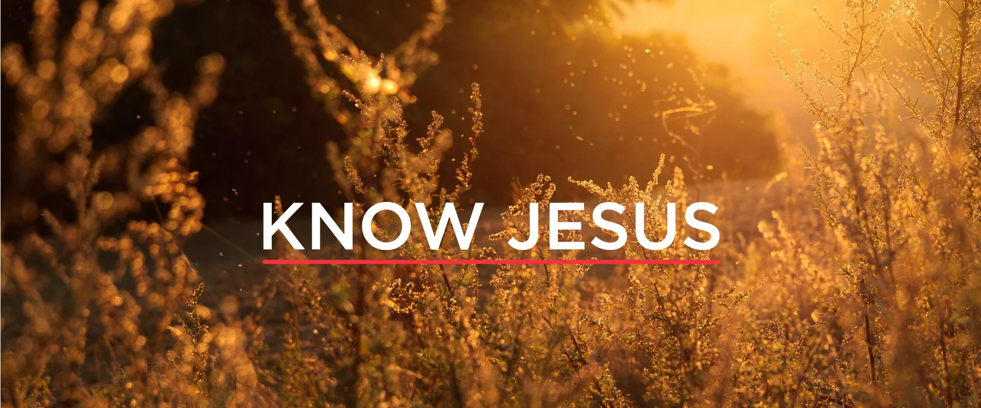 KNOW-JESUS.jpg