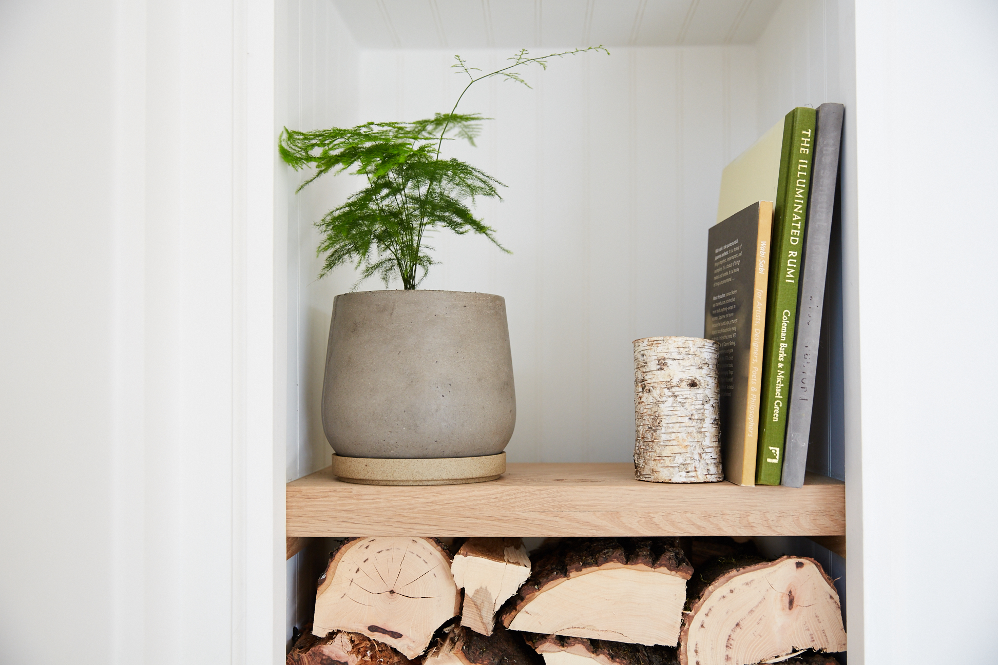 Fern and Books