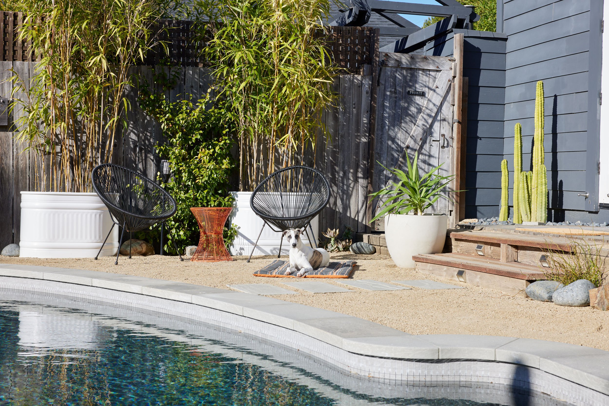 Sitting Area and Dog Bed