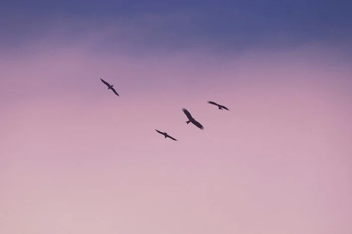 The Dance of Boundaries: Embracing the Balance