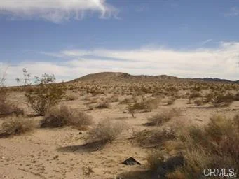 amboy.jpg
