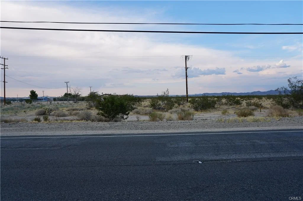 29palms1.jpg