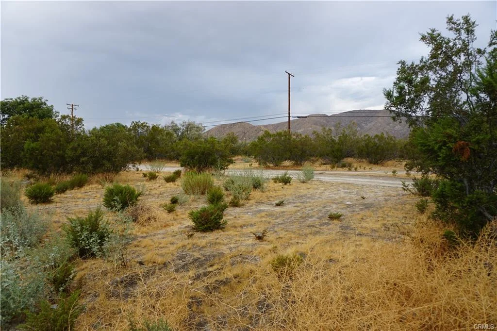morongo5.jpg