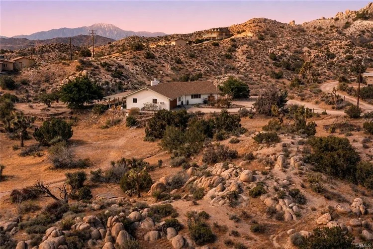 JOSHUA TREE MODERN — About us