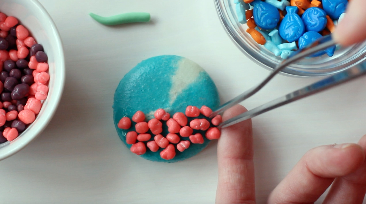Step 3: Place Nerd candy on top of edible adhesive.