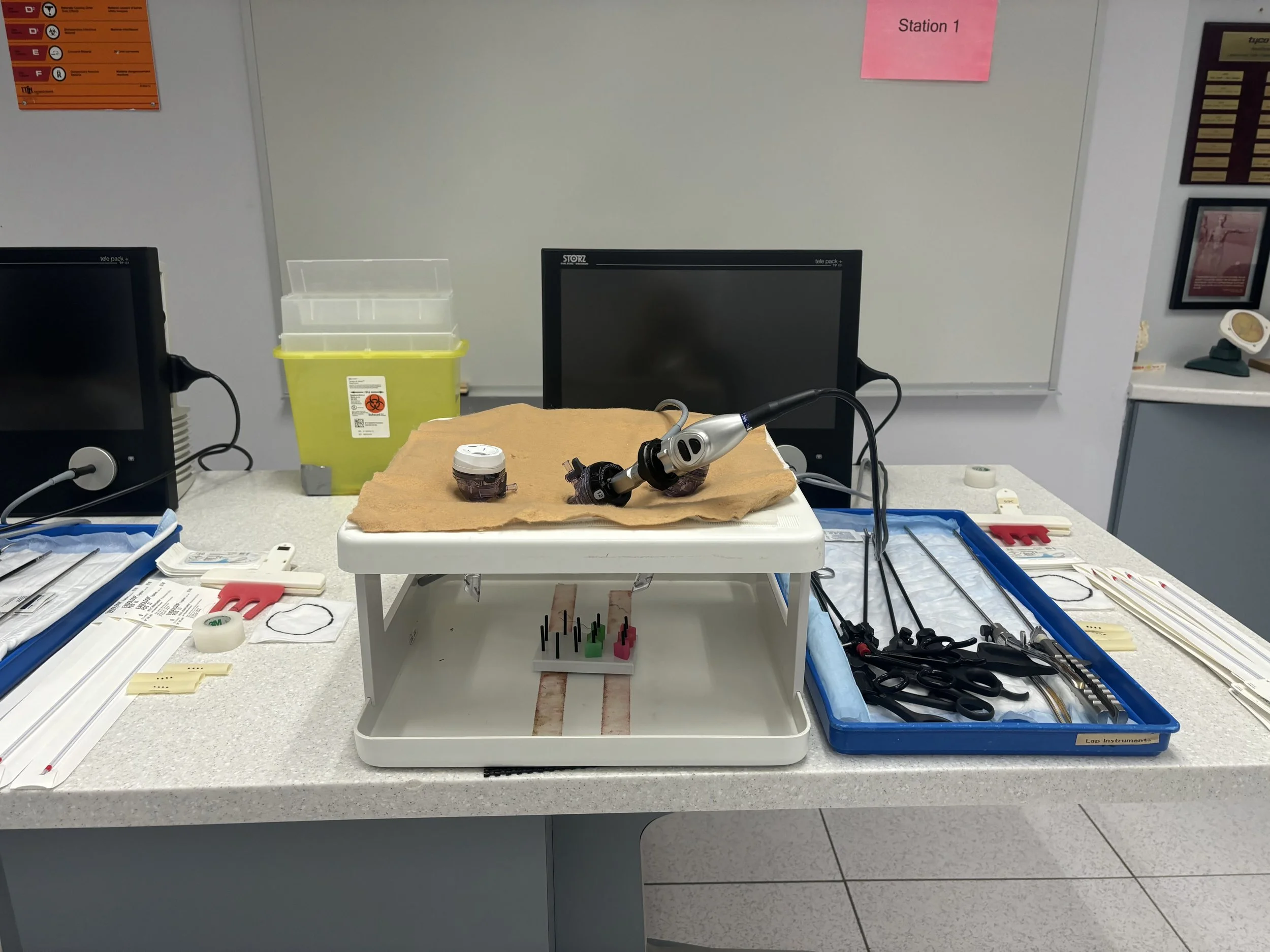 IMG_1302.JPG