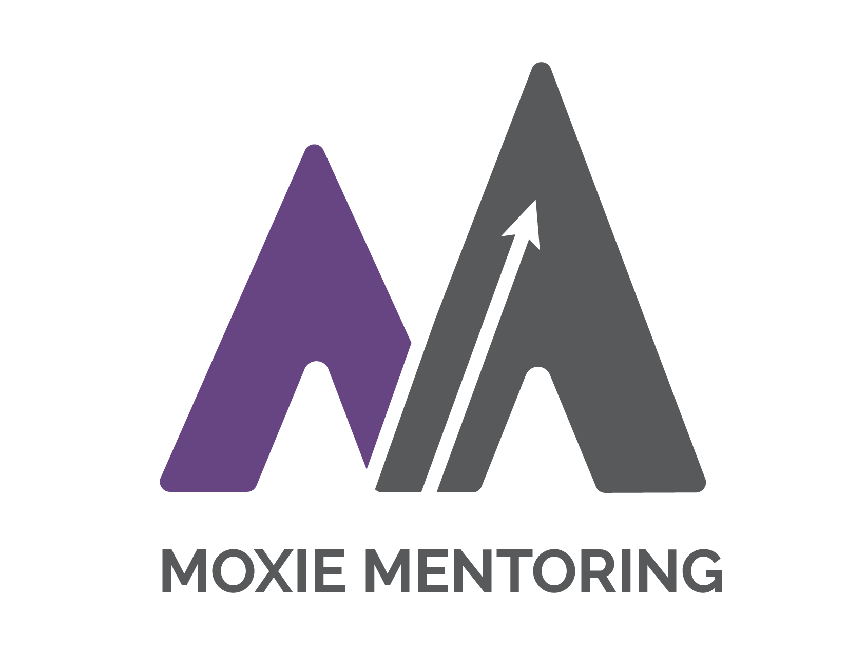 Moxie Mentoring Service Packet-FINAL-01.png