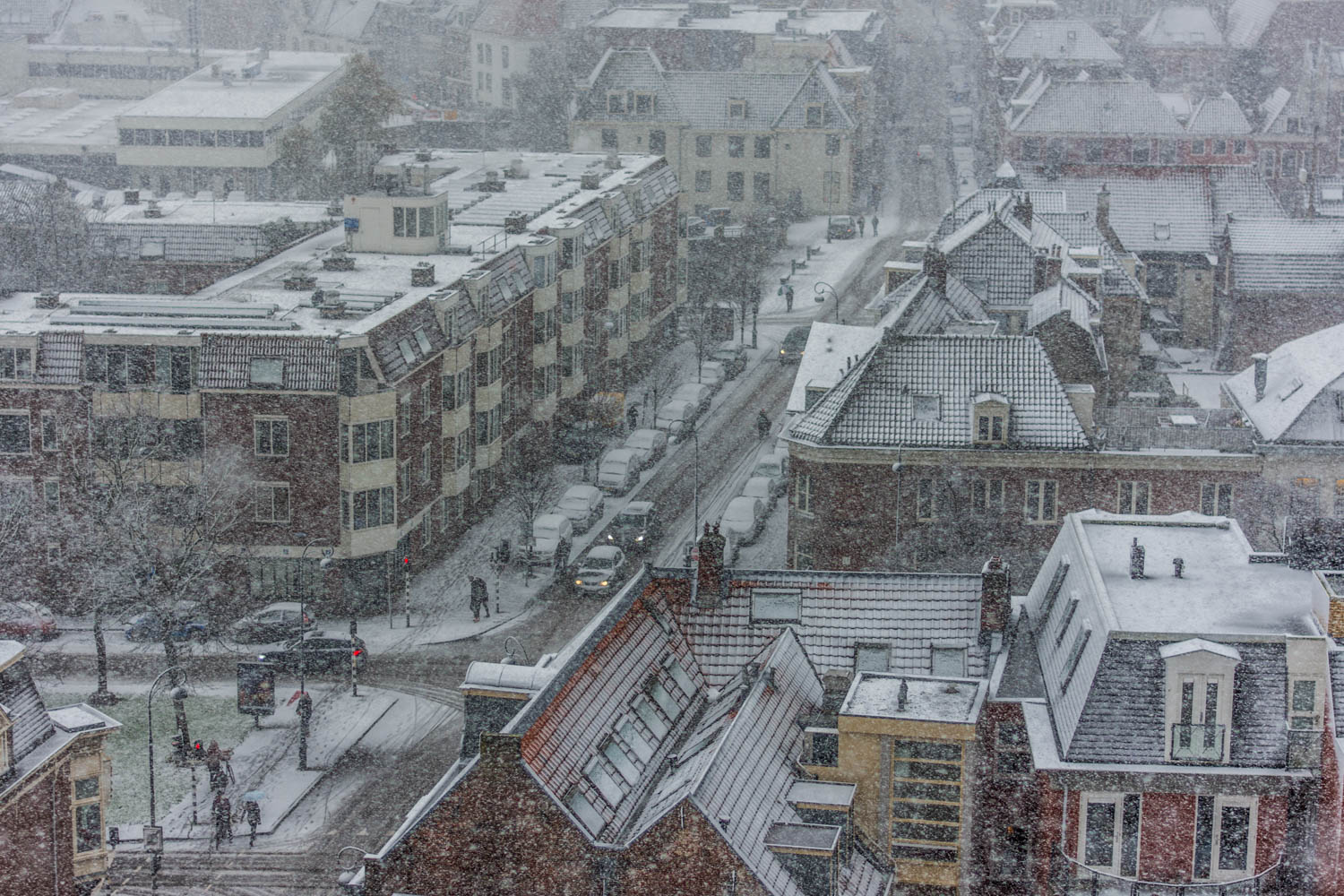 Haarlem winter photography 2018.