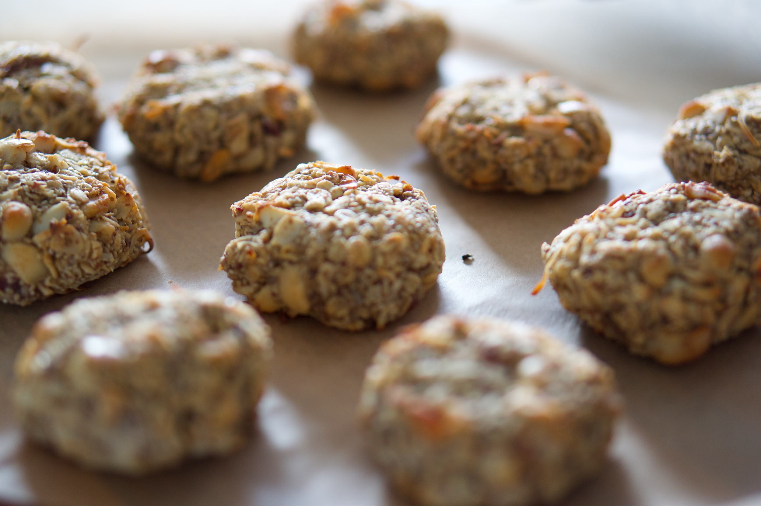 Macadamia and coconut breakfast biscuits
