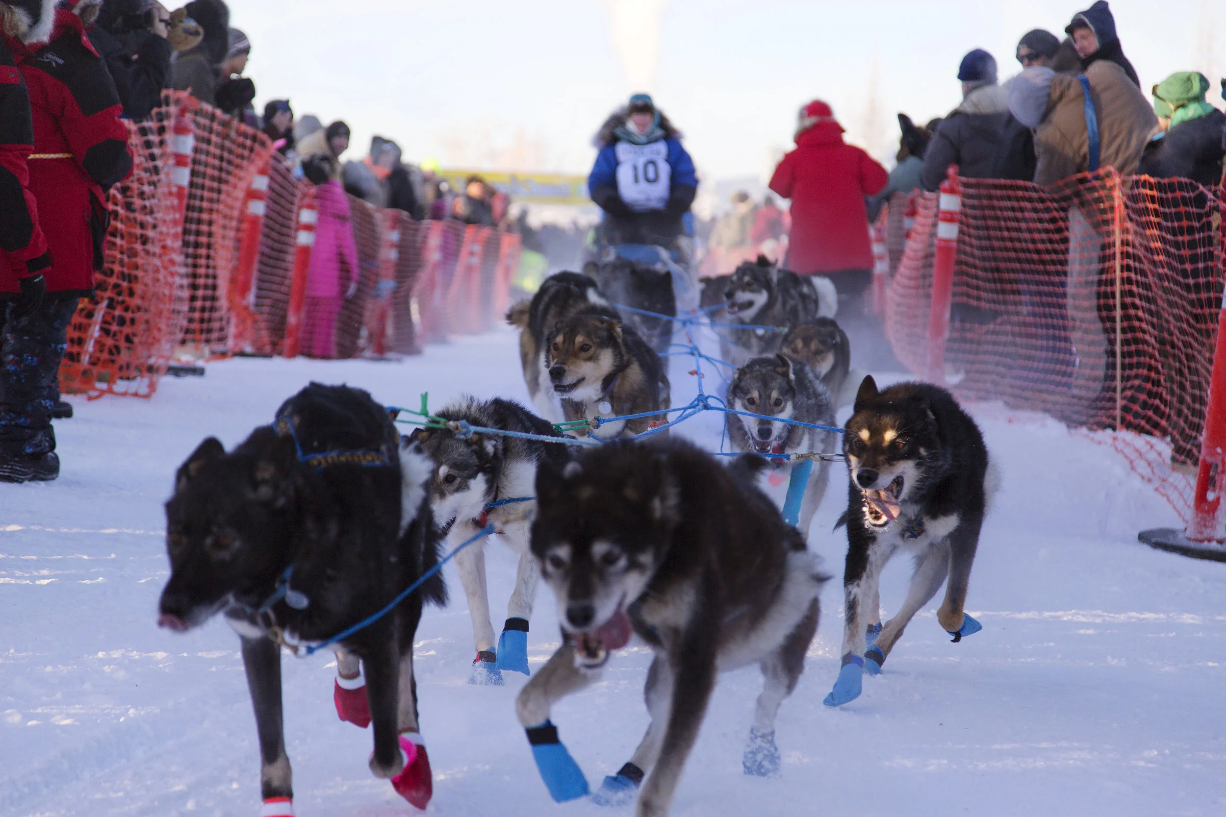 Manriquez_YukonQuest_008.JPG
