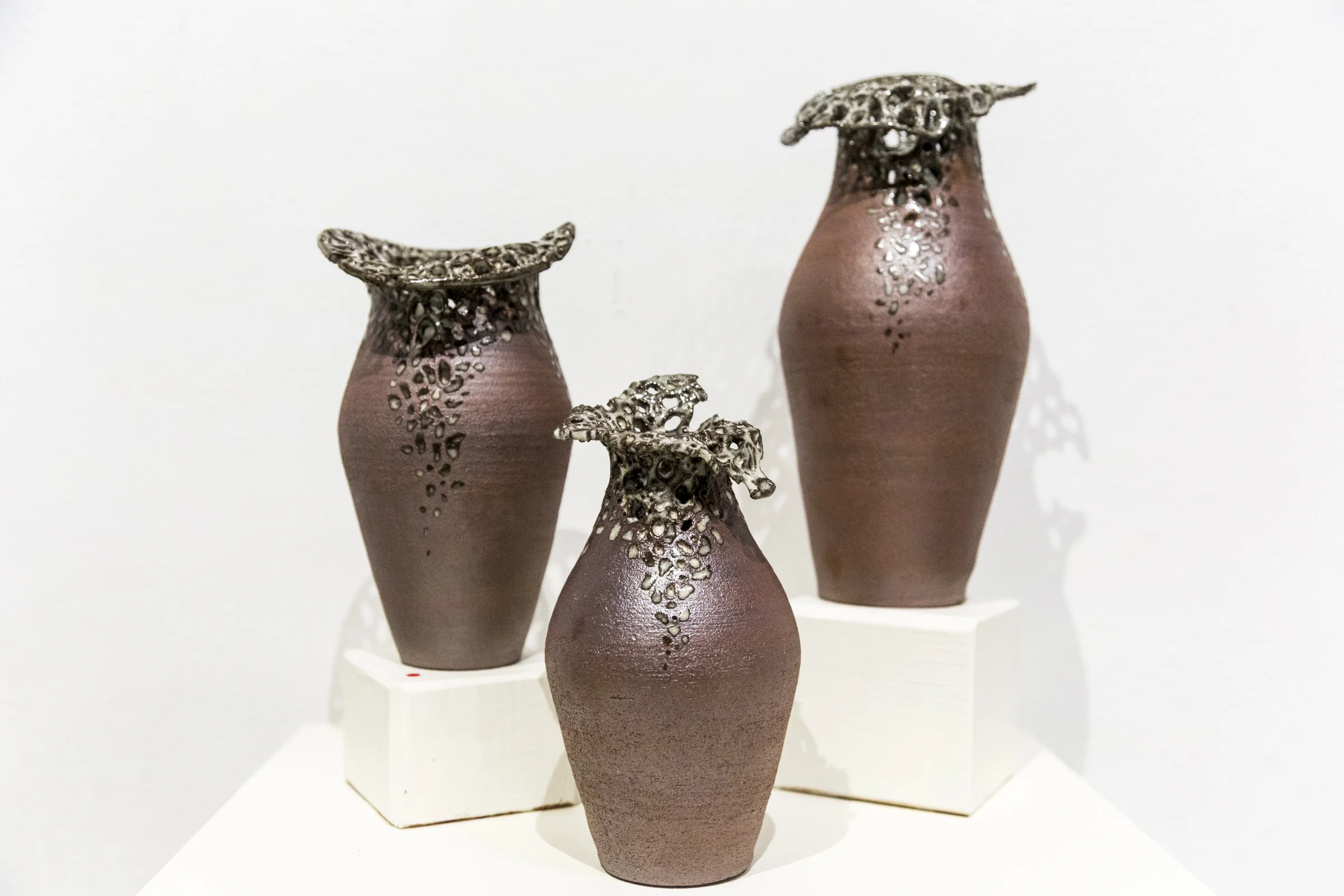 SM-18- BFA Erin Krogstad - Natural Balance-7.jpg