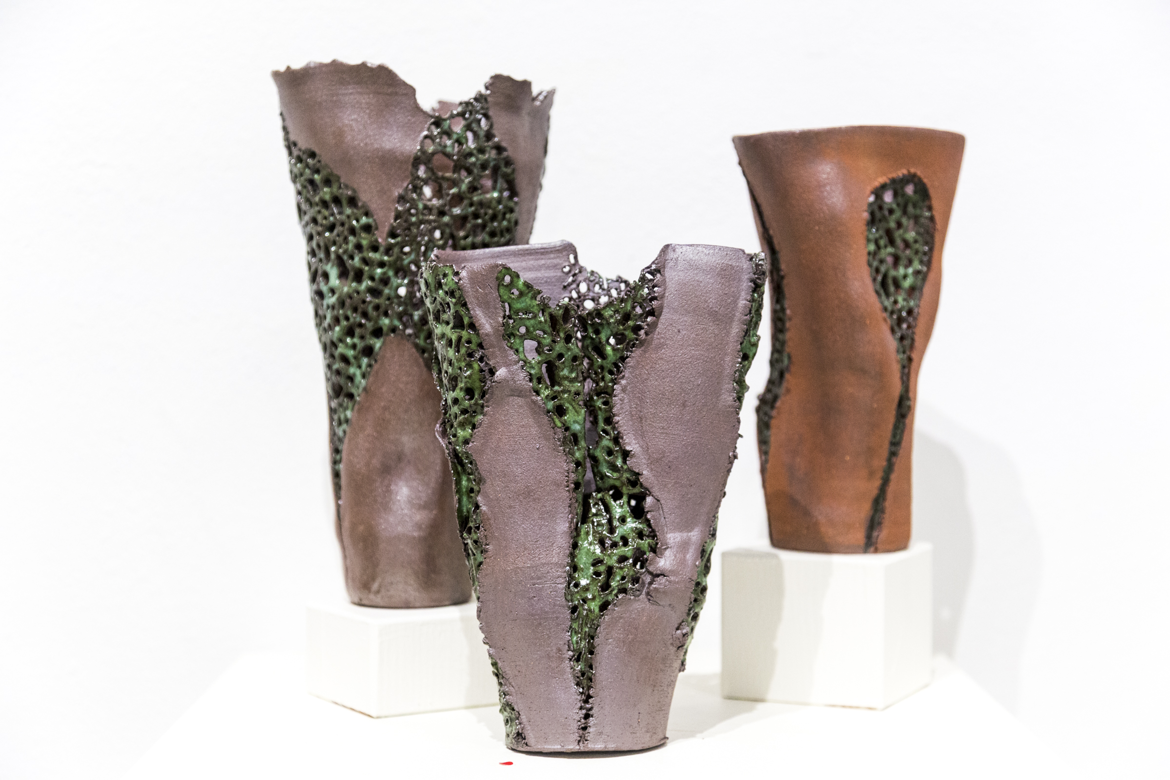 SM-18- BFA Erin Krogstad - Natural Balance-9.jpg