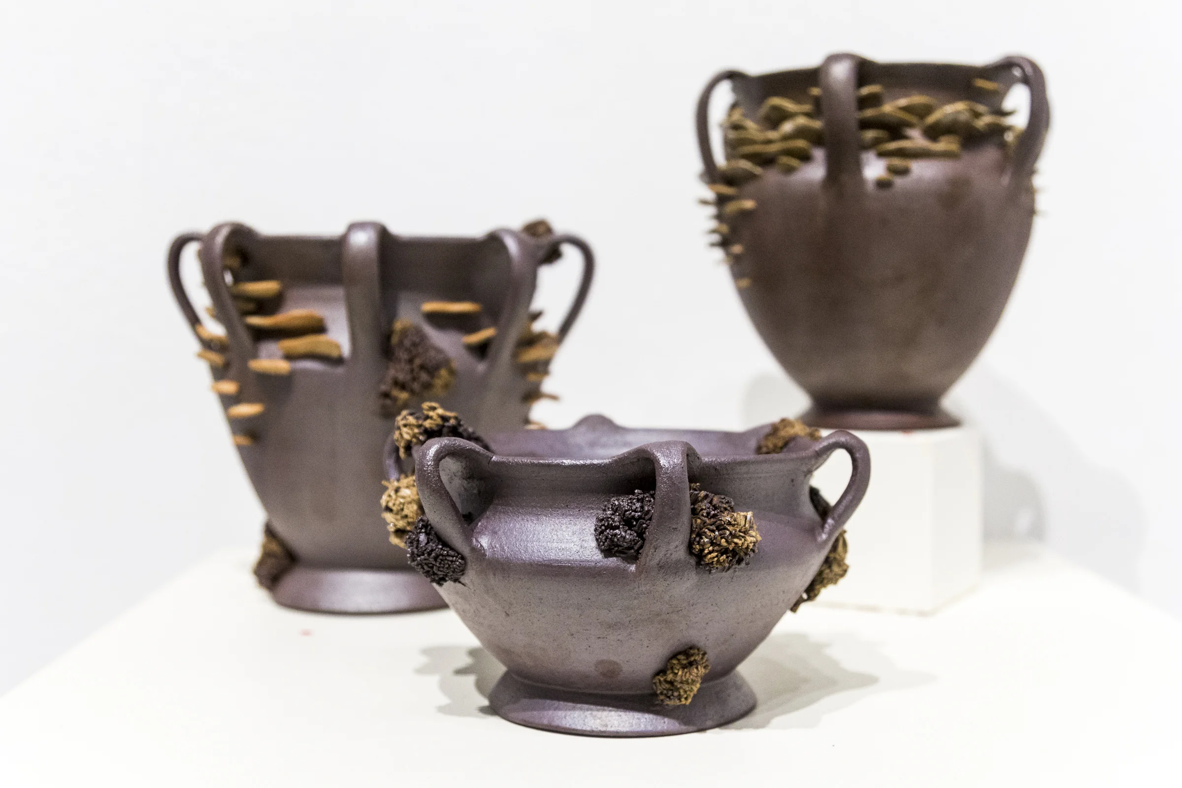 SM-18- BFA Erin Krogstad - Natural Balance-11.jpg