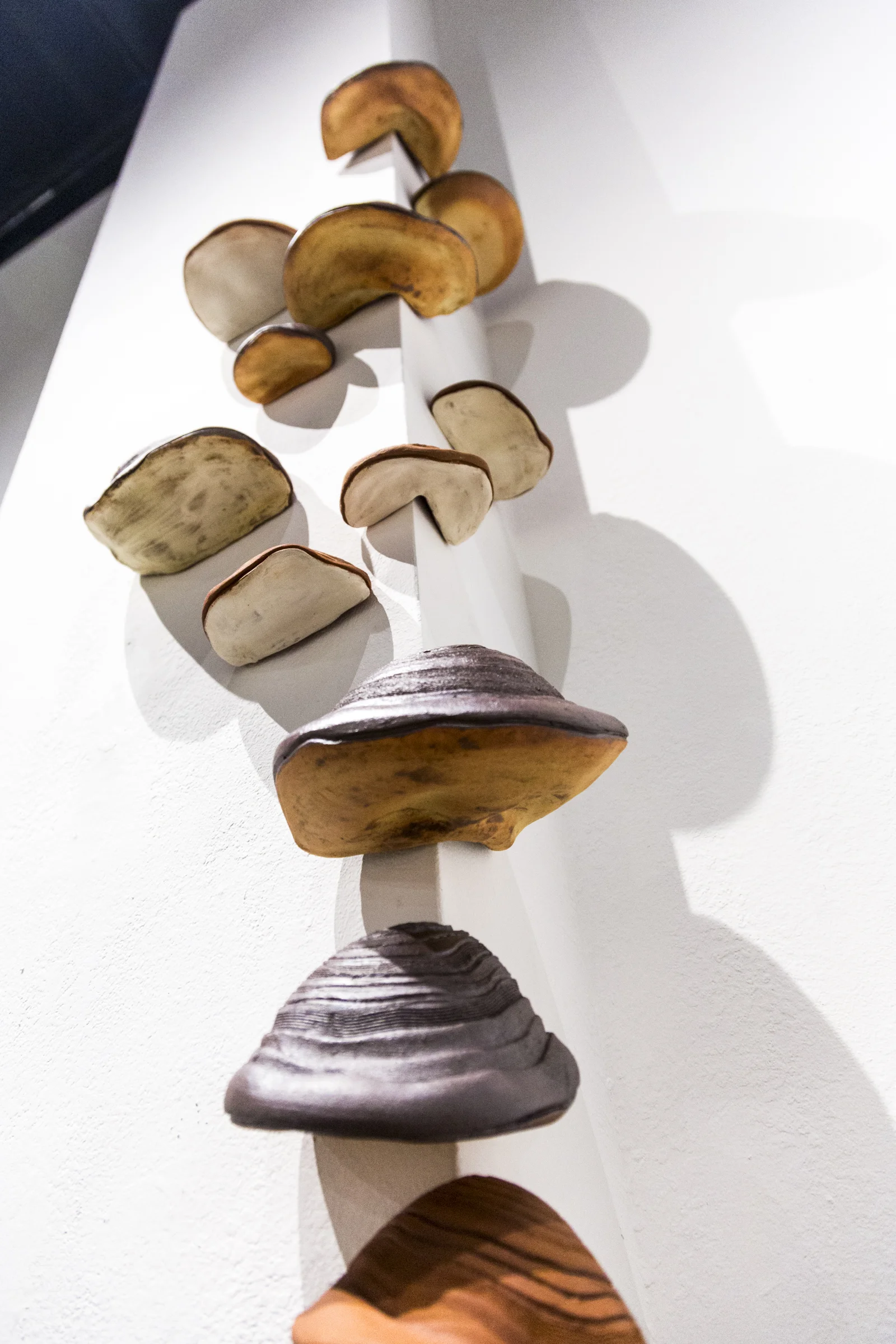 SM-18- BFA Erin Krogstad - Natural Balance-17.jpg