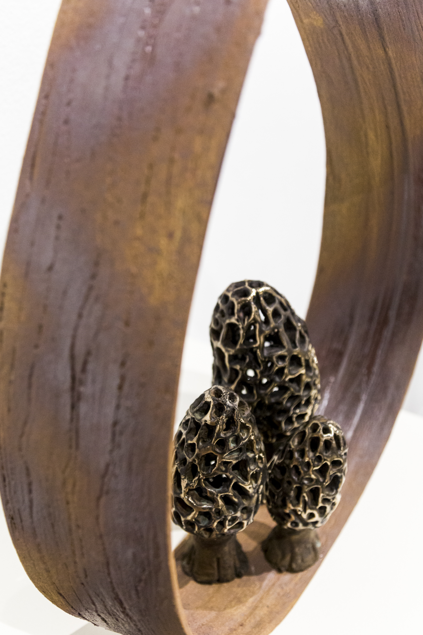 SM-18- BFA Erin Krogstad - Natural Balance-29.jpg