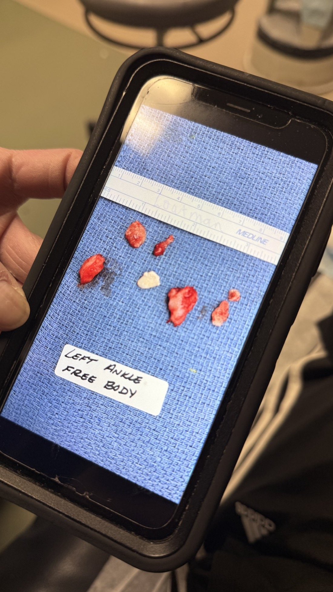 Where I’ve been…