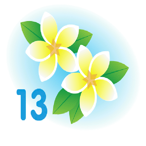 sfdc-spring13.png