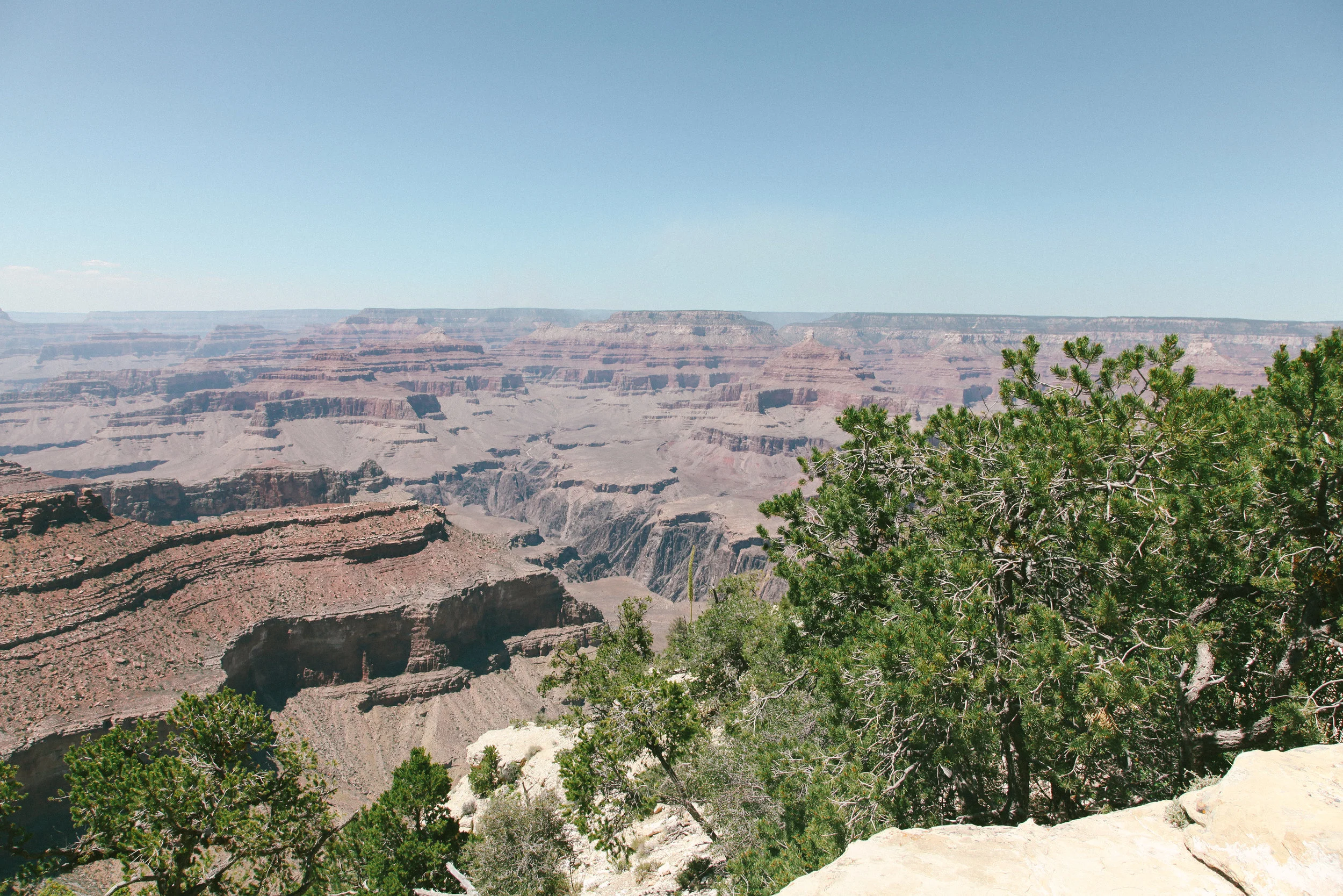 IMG_5359.jpg