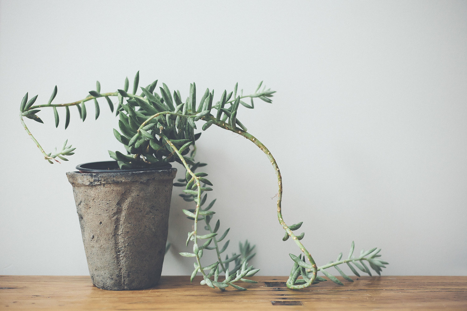 Embrace imperfection