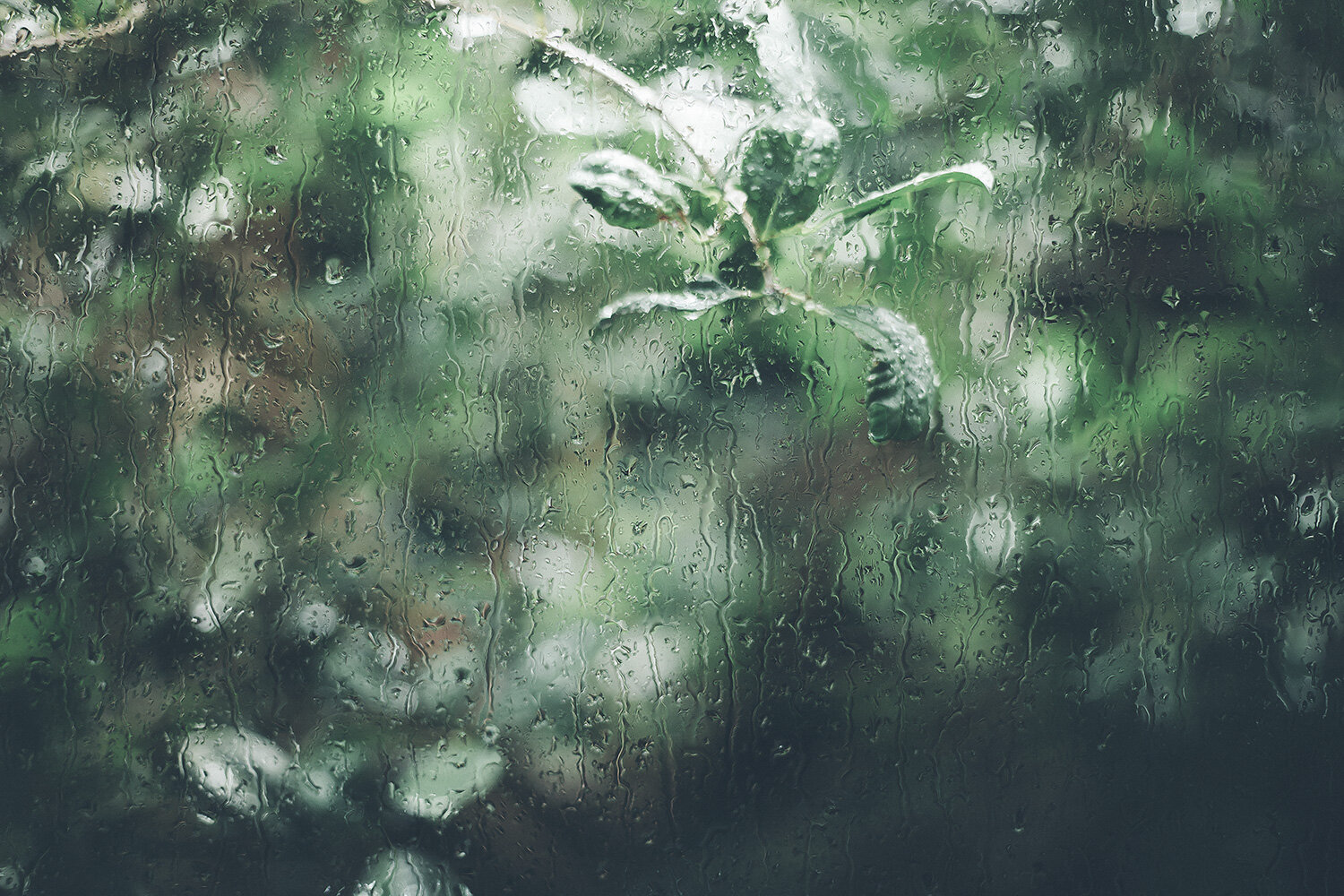 The calming effect of nature