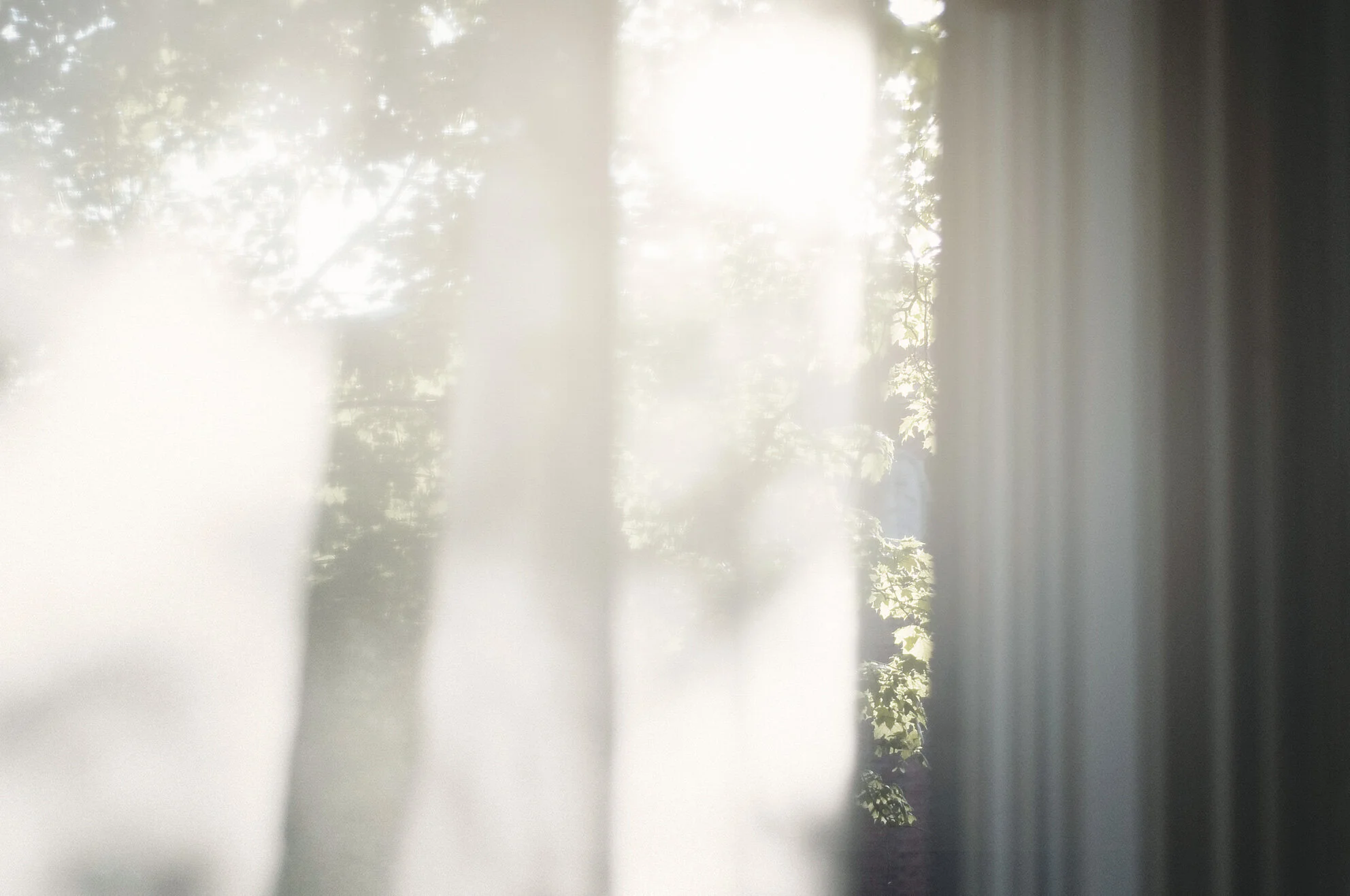 The Silver Lining of Self-Isolation