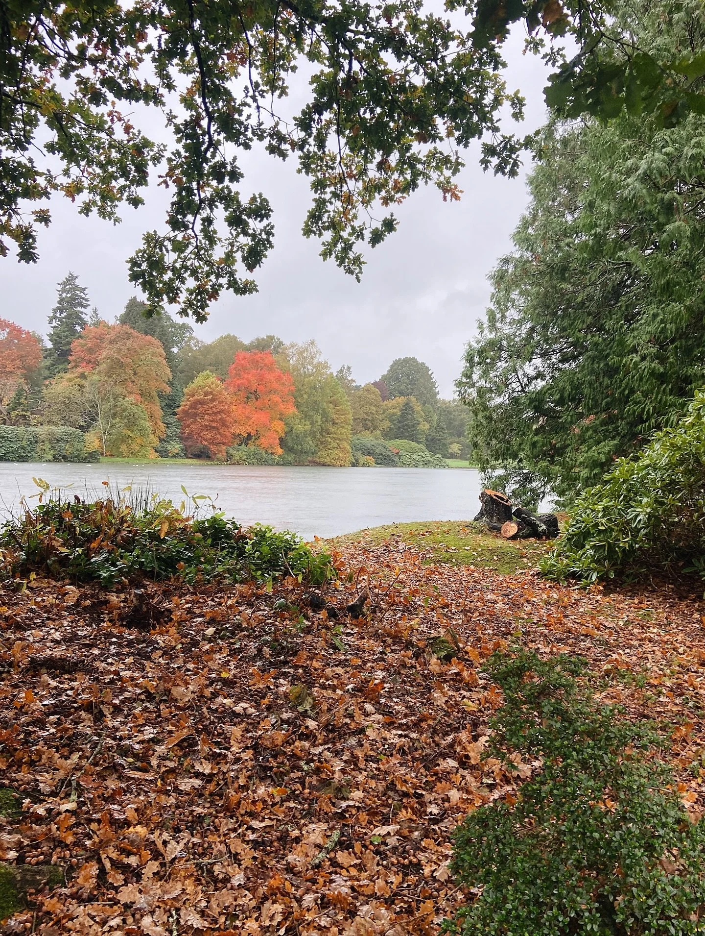 With all this rain it feels like autumn has truly arrived. We went to Sheffield Park hoping the rain wouldn&rsquo;t catch us - but it really did. Our kids will probably grow up thinking we&rsquo;re the adventurous type, and maybe they&rsquo;re right 