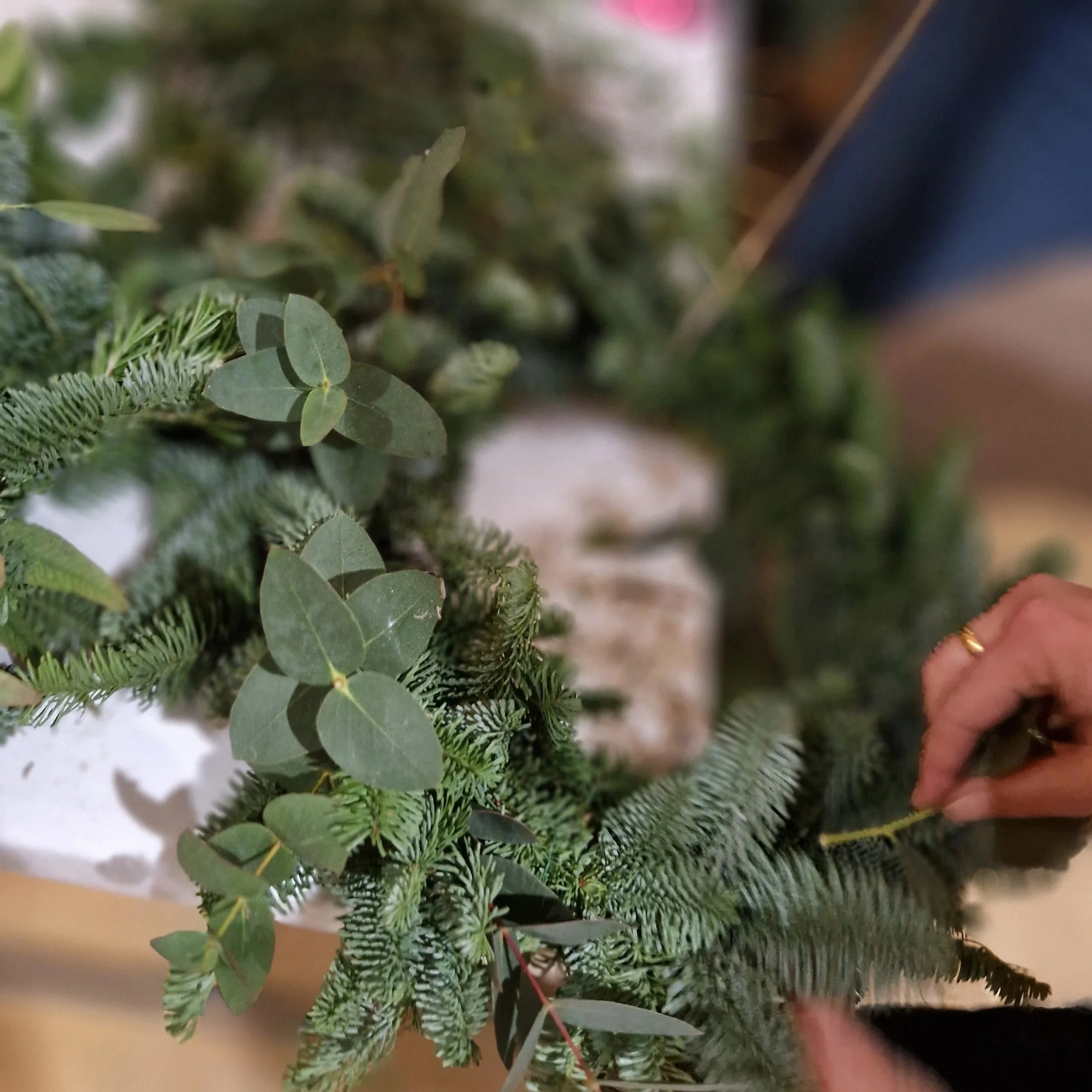 Fresh seasonal foliage used to create a handmade Christmas wreath