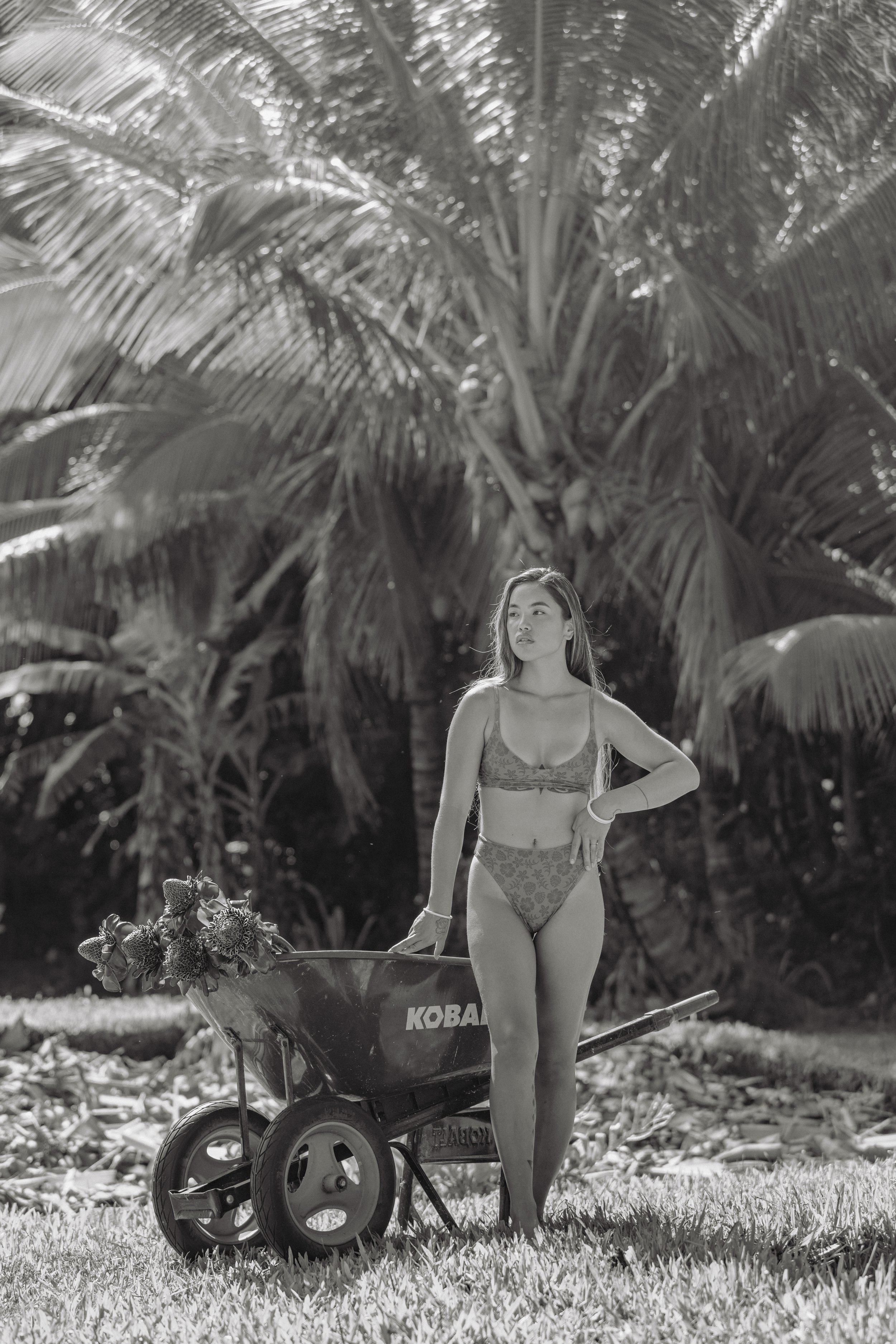 Lokahi PM 1-72 2.jpg