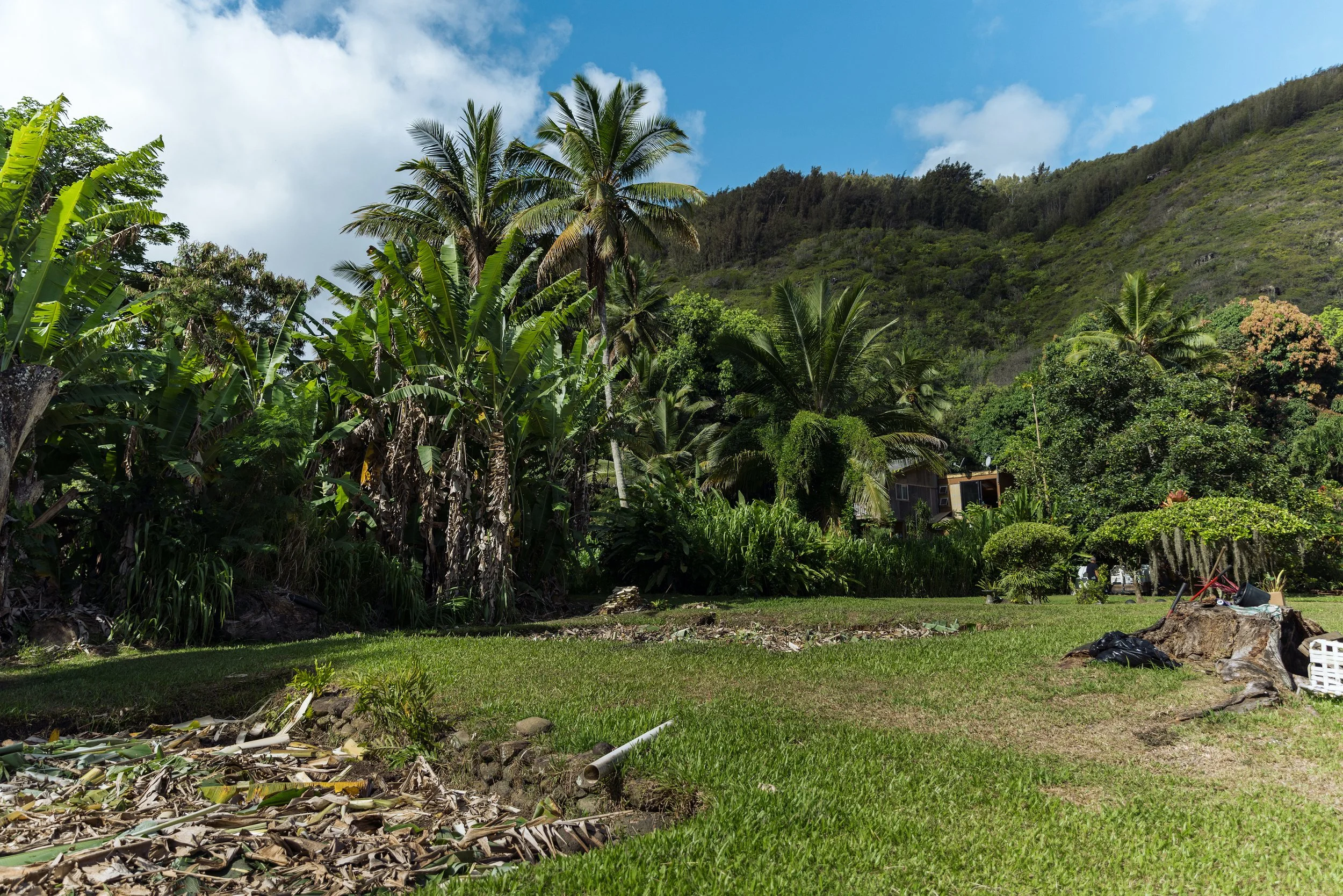 Lokahi PM 1-56 copy.jpg