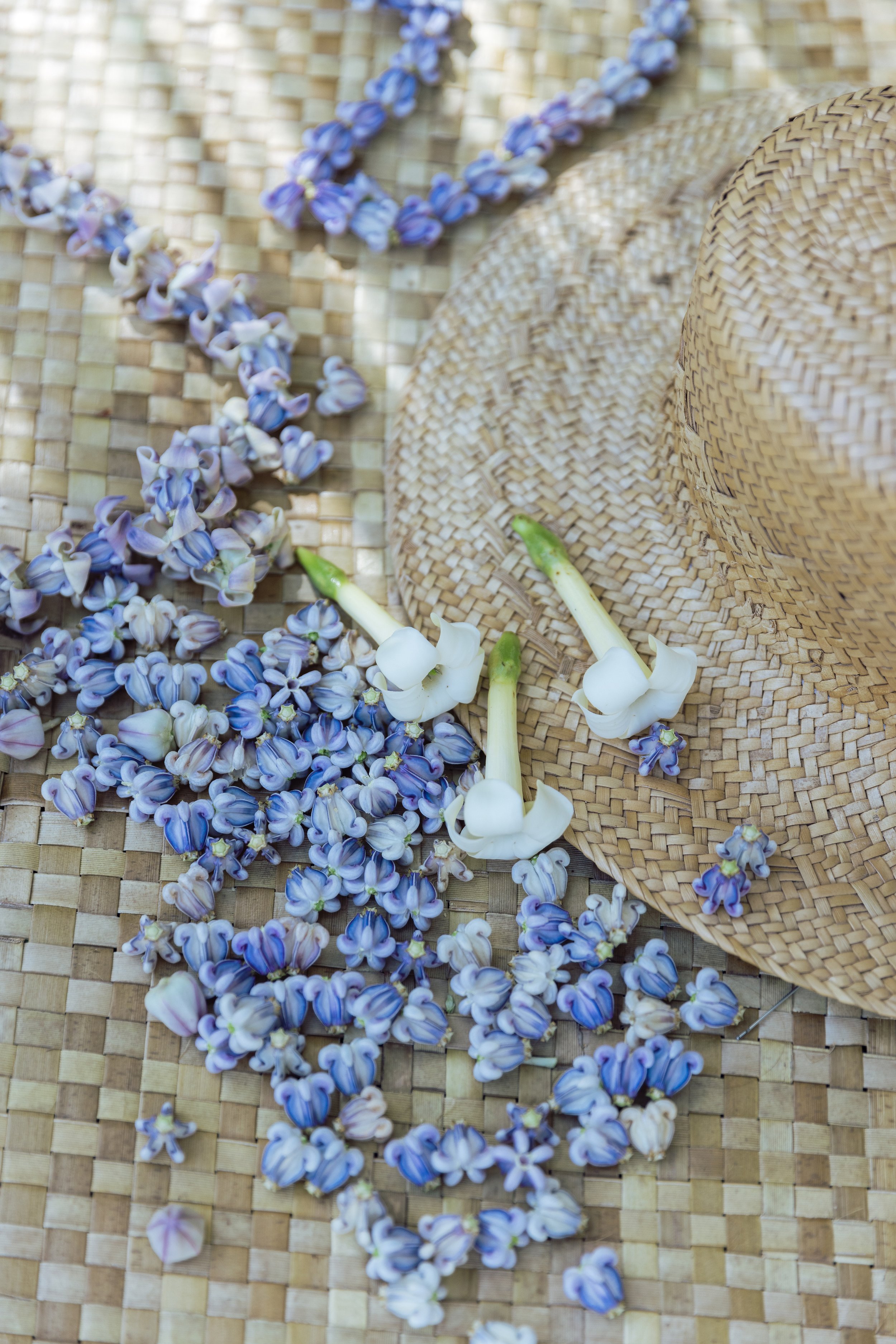 Lokahi Swim Hili_-62 copy 2.jpg