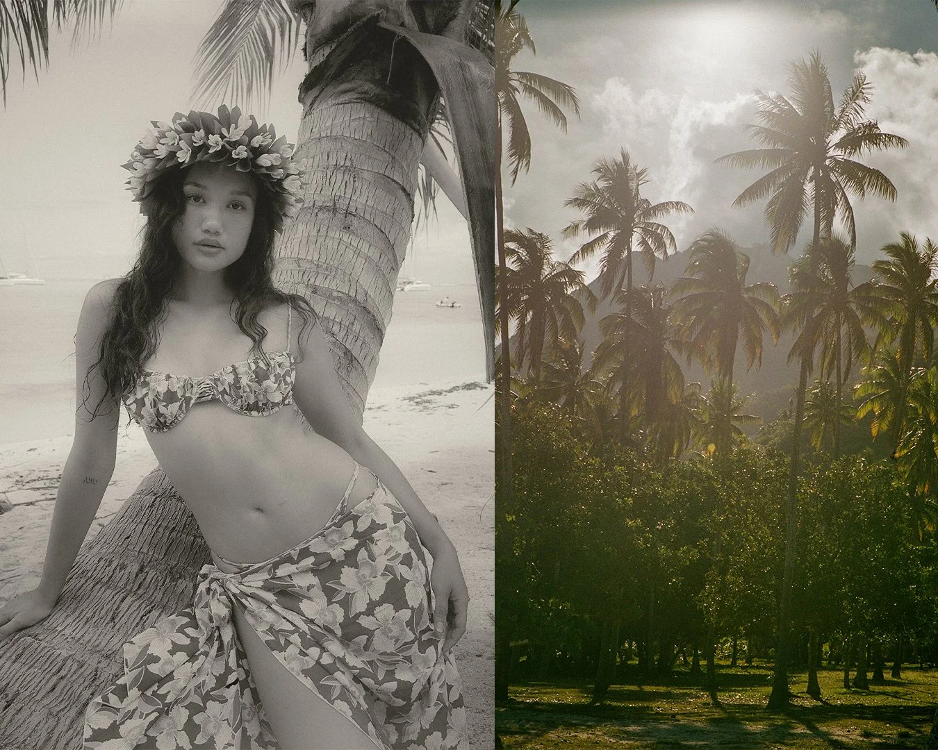 tahiti palm  copy.jpg