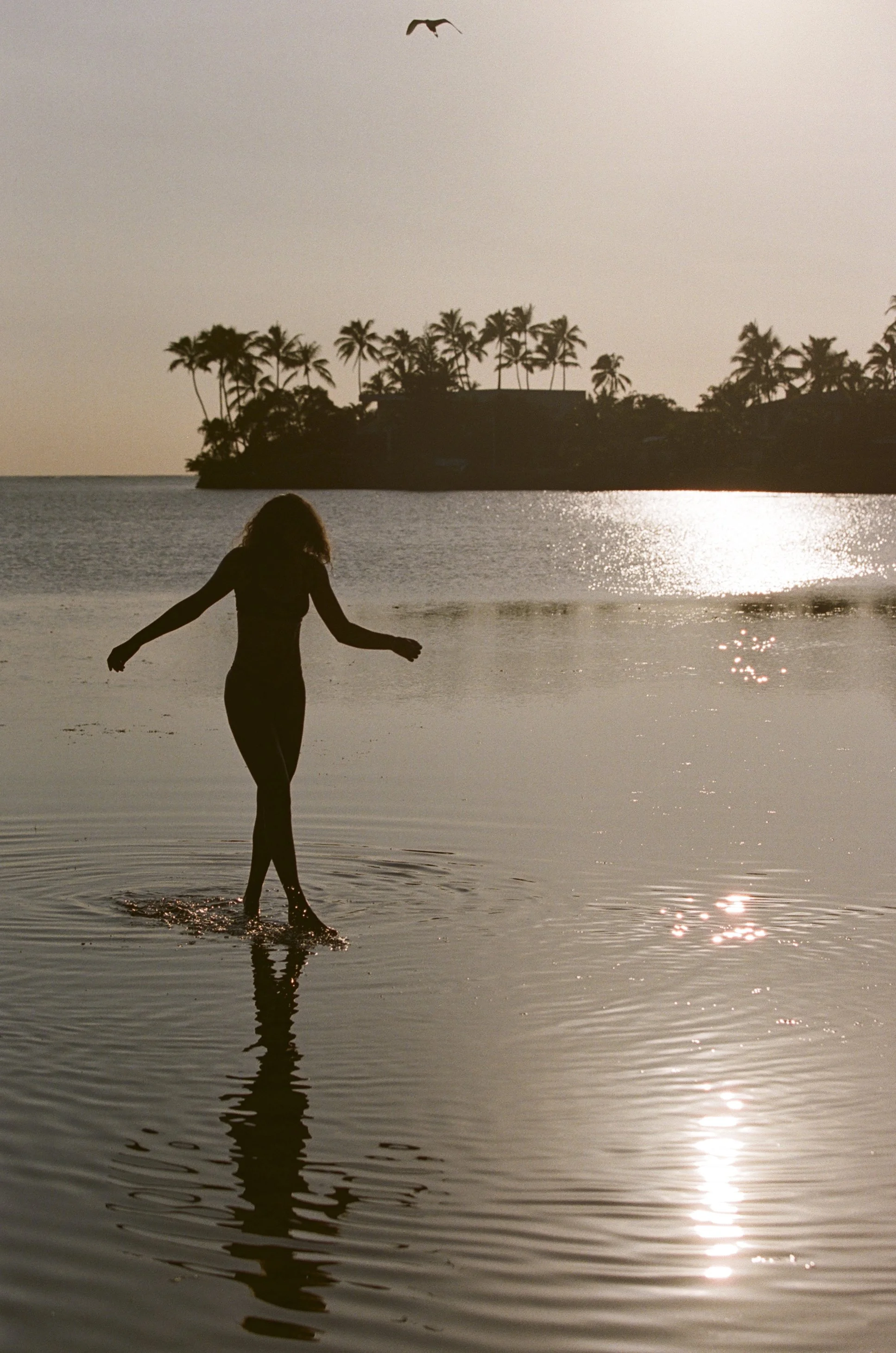 Shay Benoa Film 13.jpg