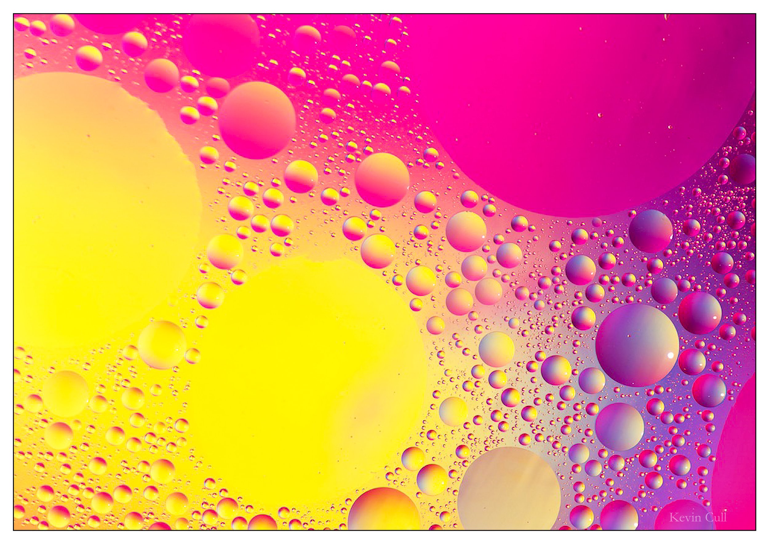 Abstract image of oil droplets forming bubbles in pink, purple, and yellow hues.