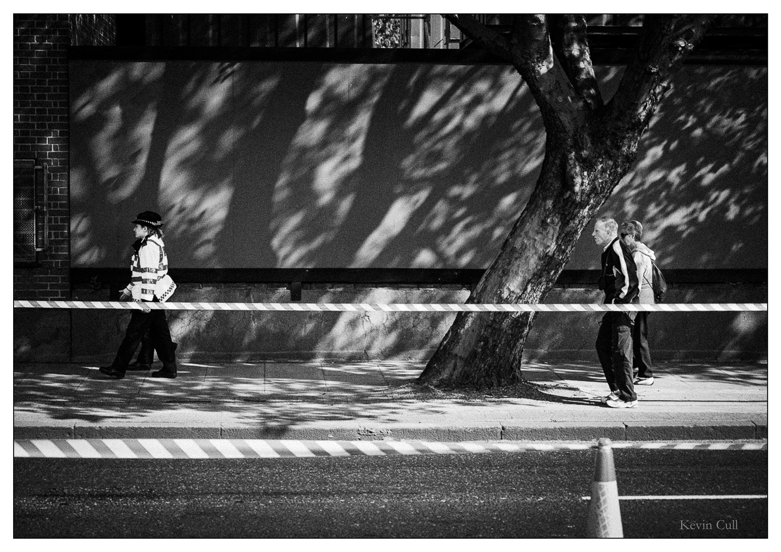 Black and white photo of pedestrians walking on a sidewalk, with a large tree and shadow patterns on the wall and ground, and construction barriers.