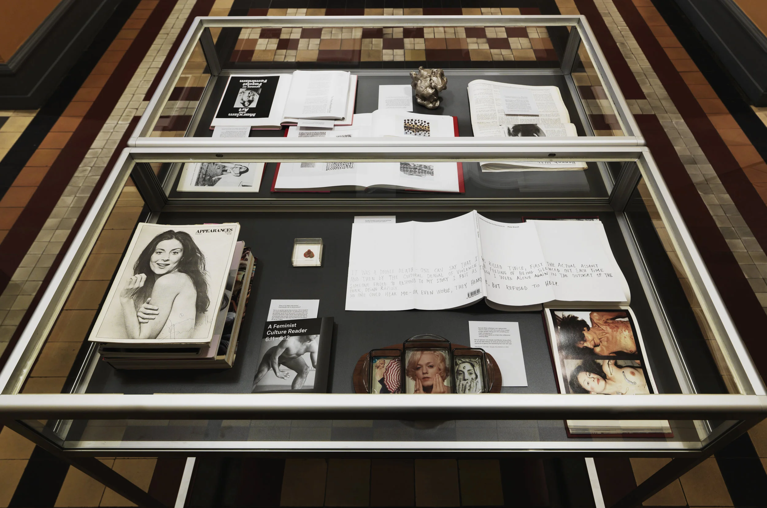 Display case: books, magazine, catalogues, interview with Peter Brandt displayed as text as well as artworks: “vagina”(chewing gum) and “Gestures” (video) by Hannah Wilke and “Brain” (clay) and “Comrades” (photos) by Peter Brandt. All installation photos by: Jeppe Sørensen