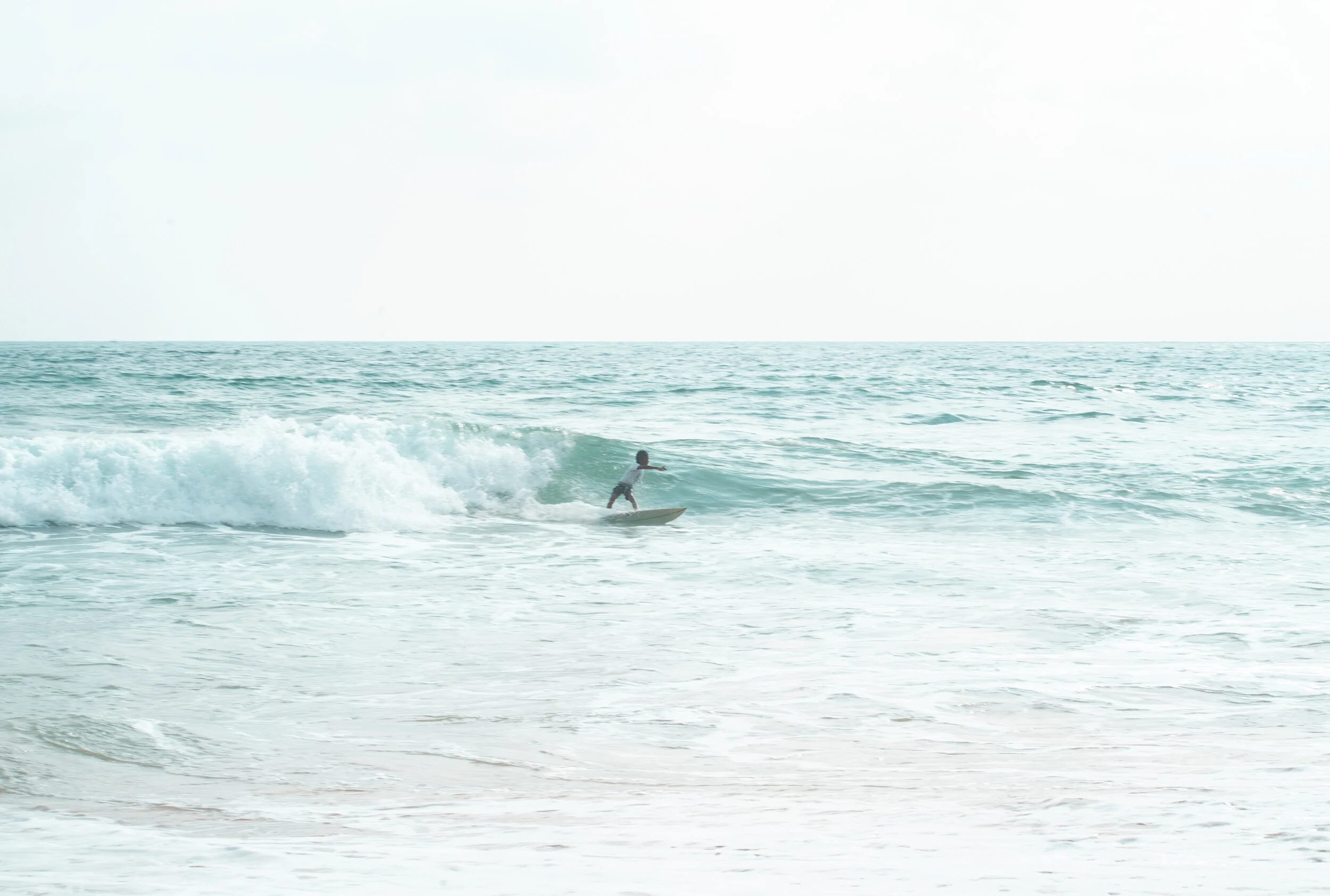 DSC06419 by mimithian.jpg