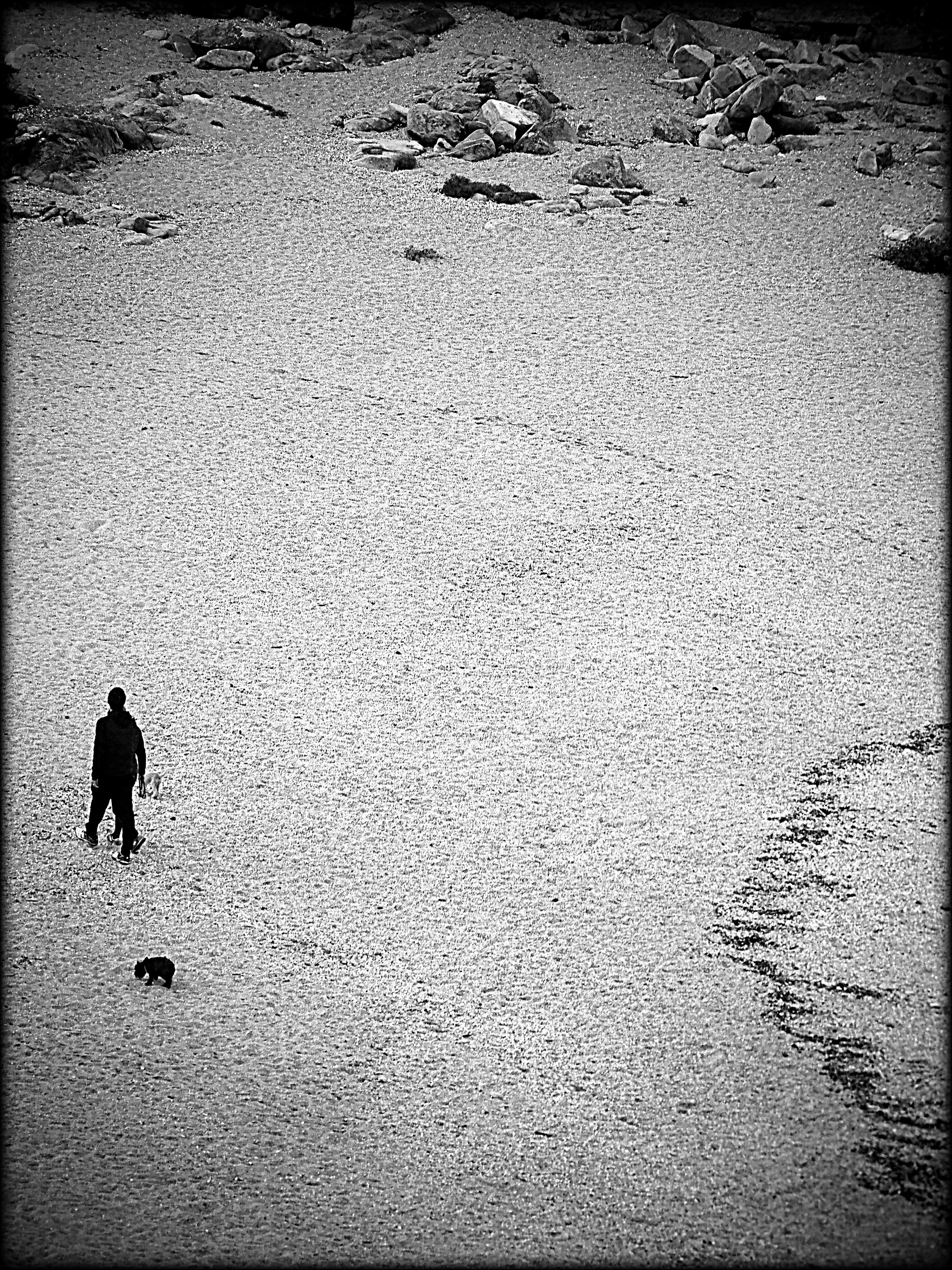 Baiona, Spain (2016)