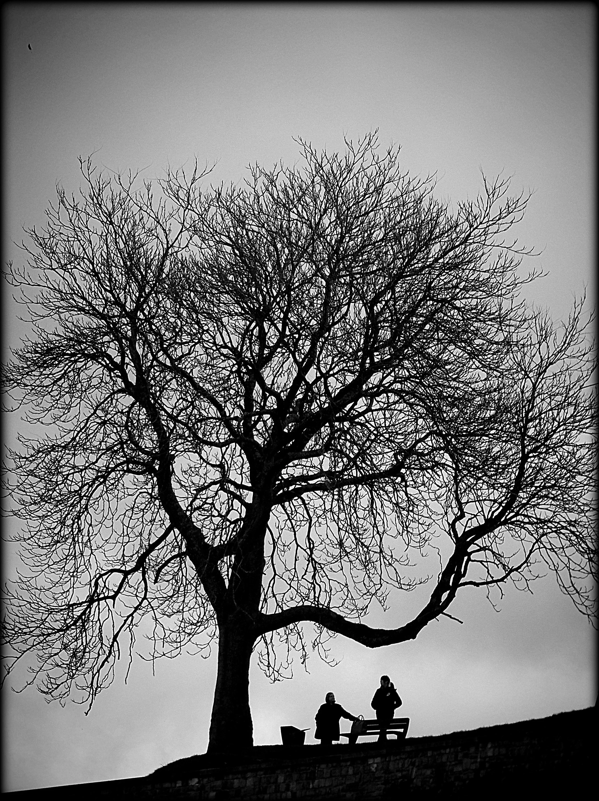 Namur, Belgium (2016)